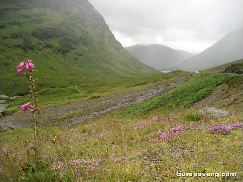 Scottish Highlands.