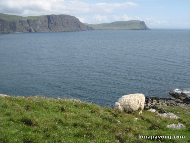 Neist Point.