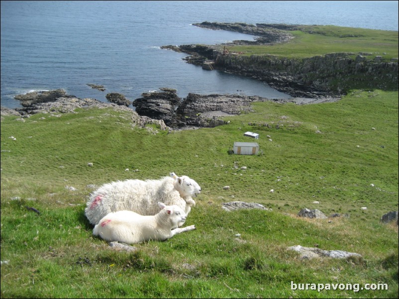 Neist Point.