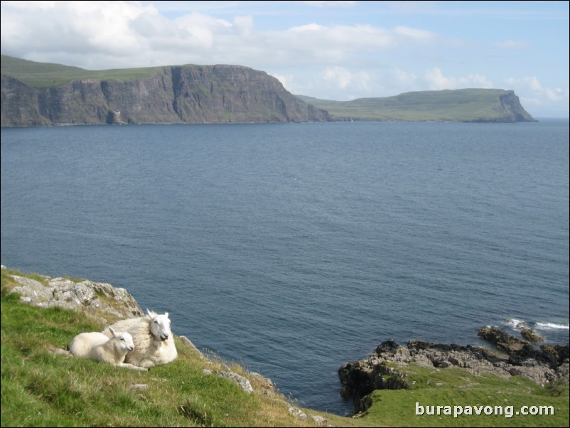 Neist Point.