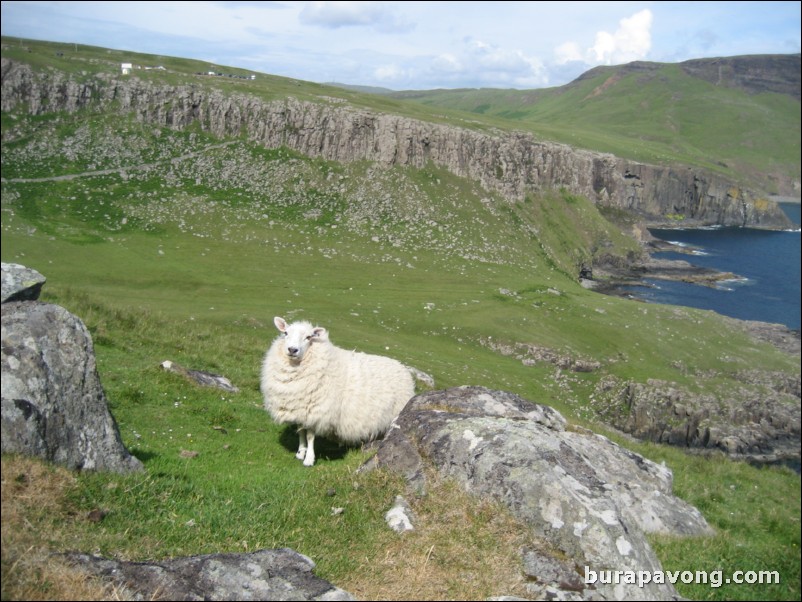 Neist Point.