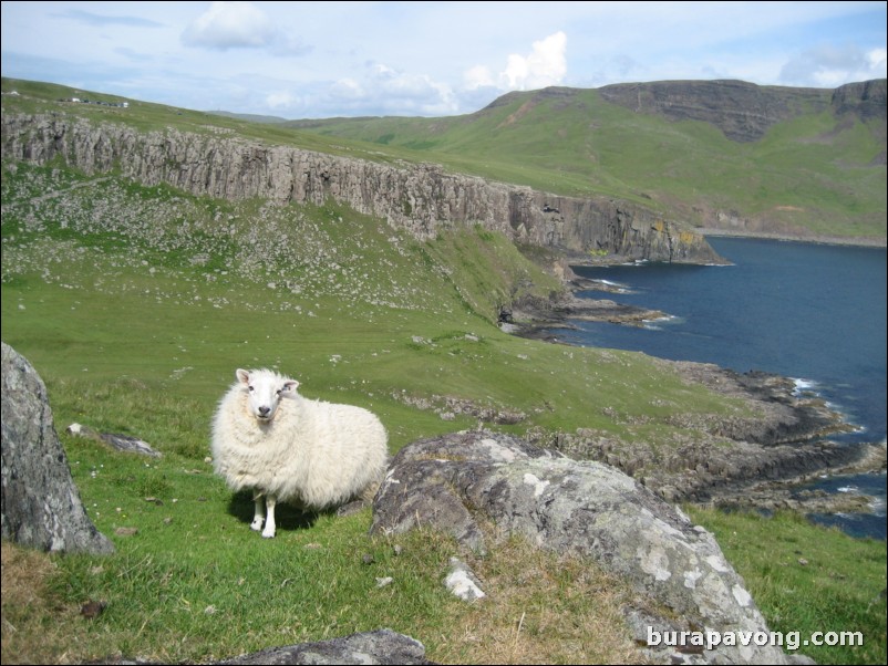 Neist Point.