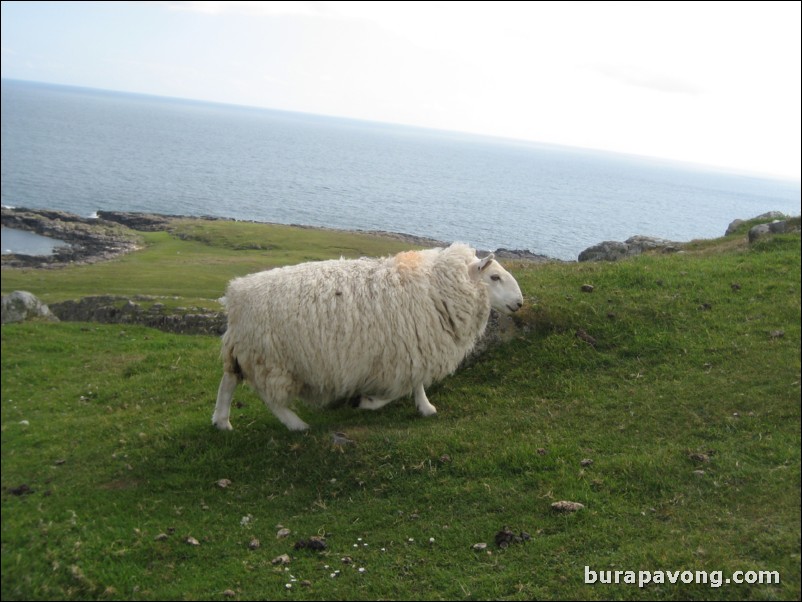 Neist Point.