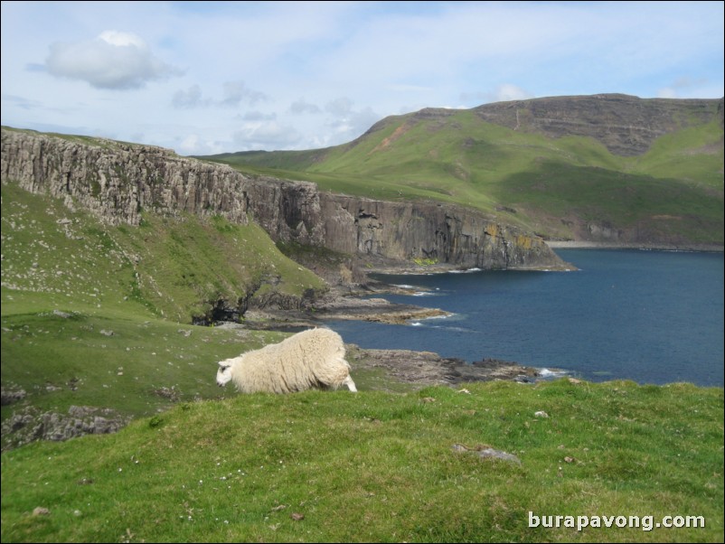 Neist Point.