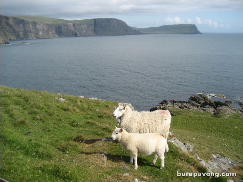 Neist Point.