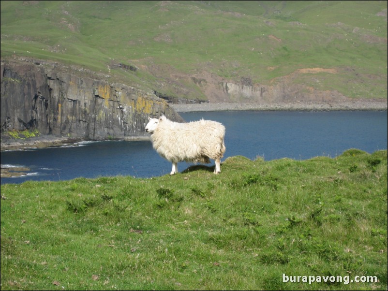 Neist Point.