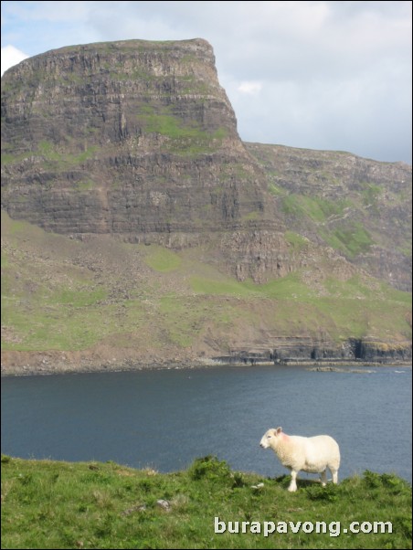 Neist Point.