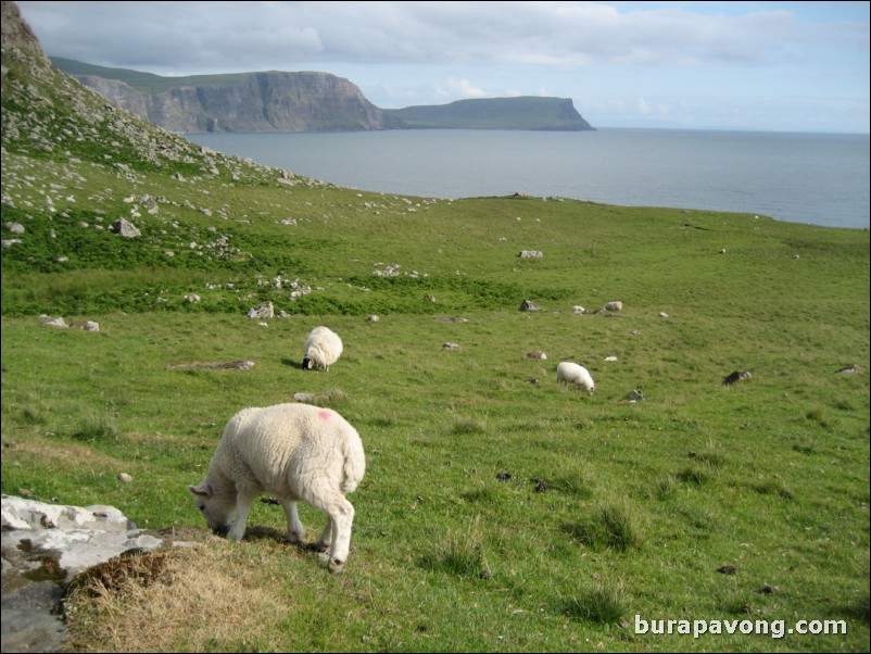 Neist Point.