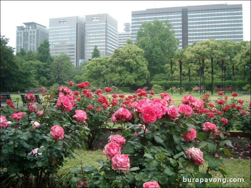 Hibiya-koen (Hibiya Park).