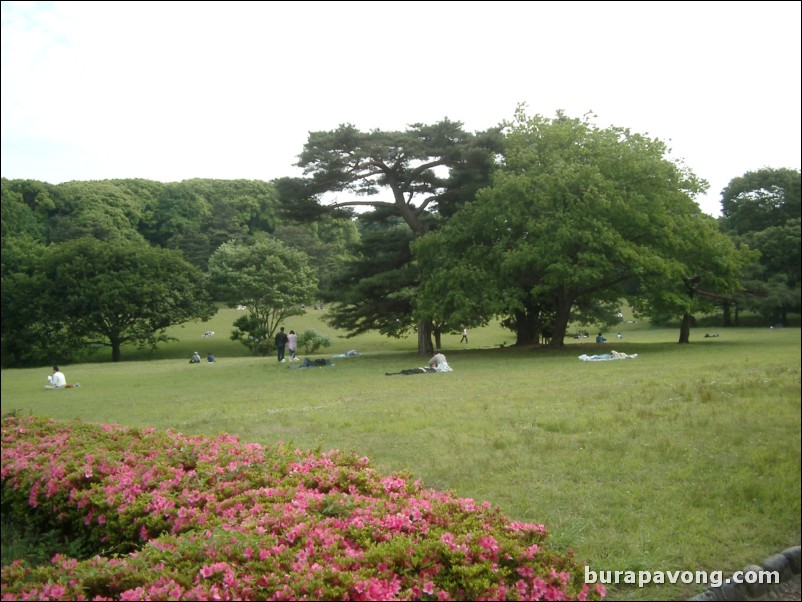 Yoyogi-koen (Yoyogi Park).