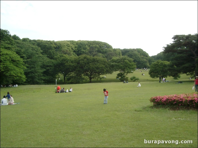 Yoyogi-koen (Yoyogi Park).