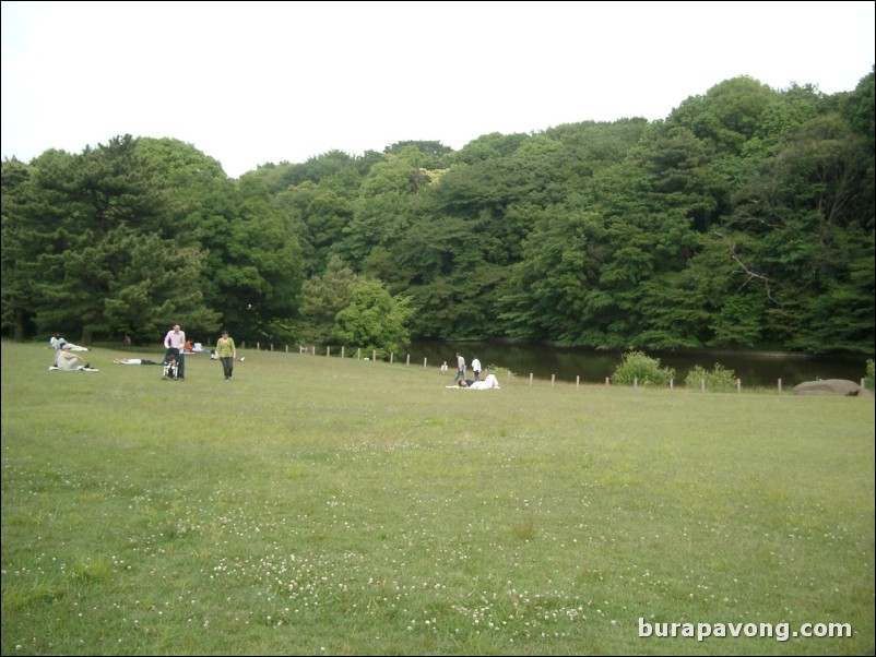 Yoyogi-koen (Yoyogi Park).