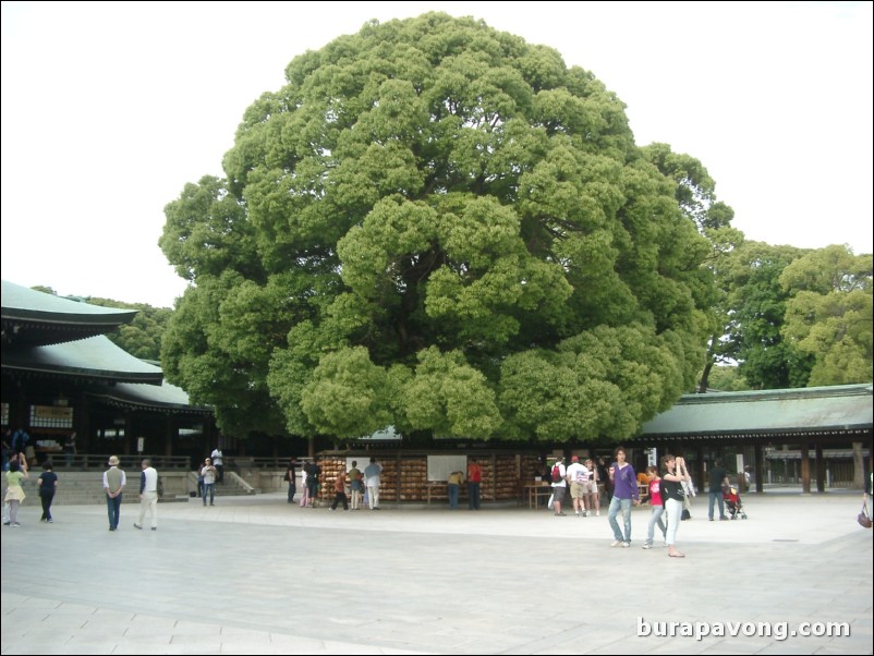 Meiji-jingu (Meiji Shrine).