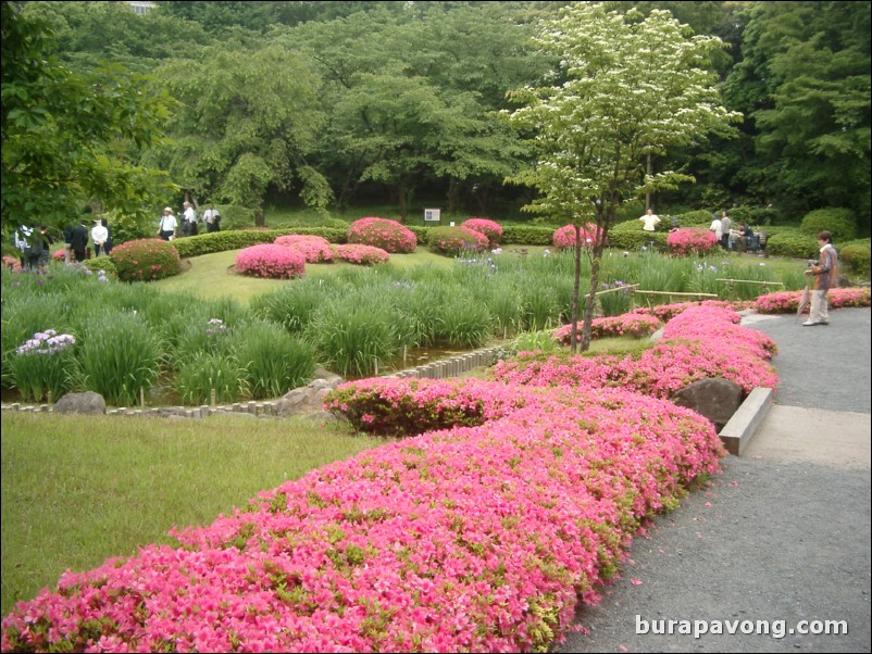 Higashi-gyoen (Imperial Palace East Garden).