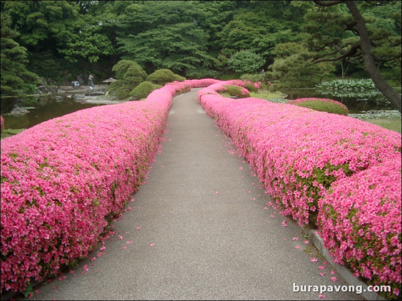 Higashi-gyoen (Imperial Palace East Garden).