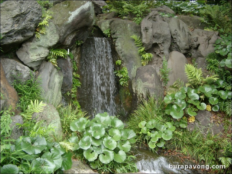 Higashi-gyoen (Imperial Palace East Garden).