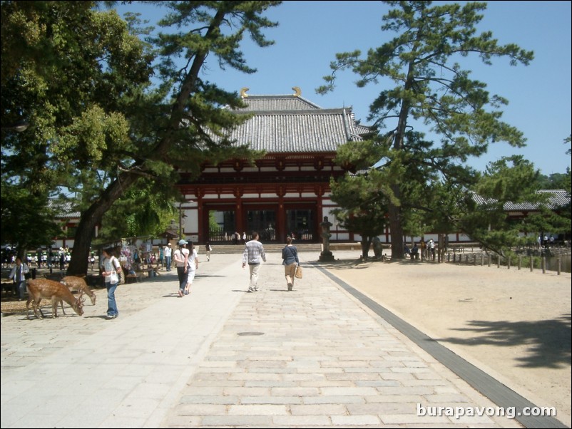 Nara Park.