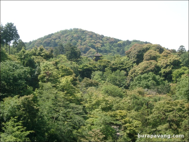 Kiyomizu-dera (Kiyomizu Temple).