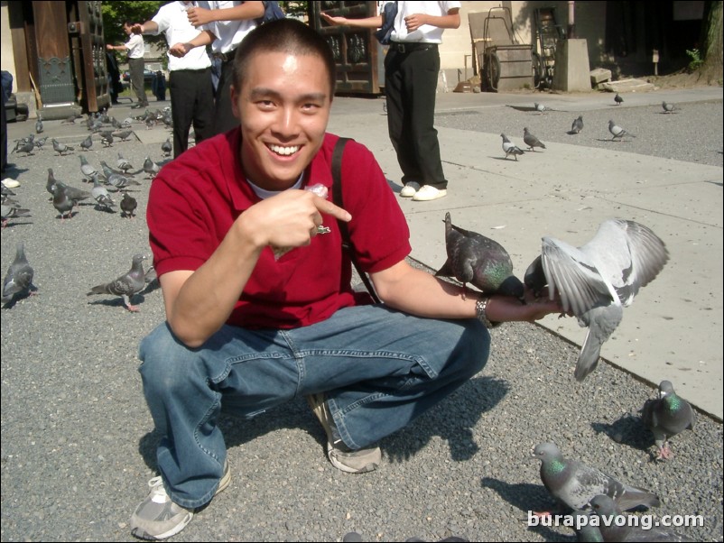 Feeding pigeons at Higashi Honganji Temple.