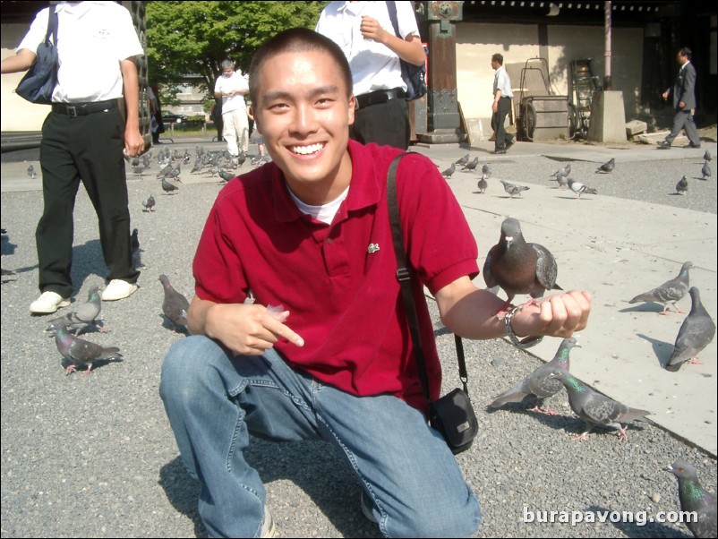 Feeding pigeons at Higashi Honganji Temple.