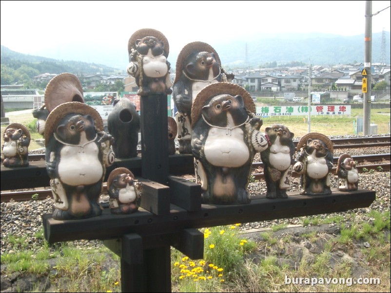 Tanooki (Japanese racoons).