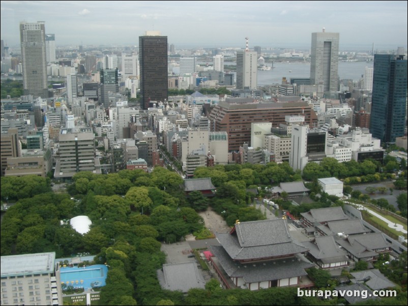 View of Tokyo skyline from Tokyo Tower.