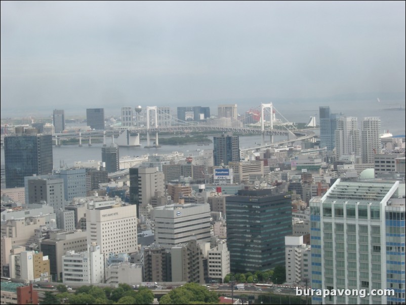 View of Tokyo skyline from Tokyo Tower.