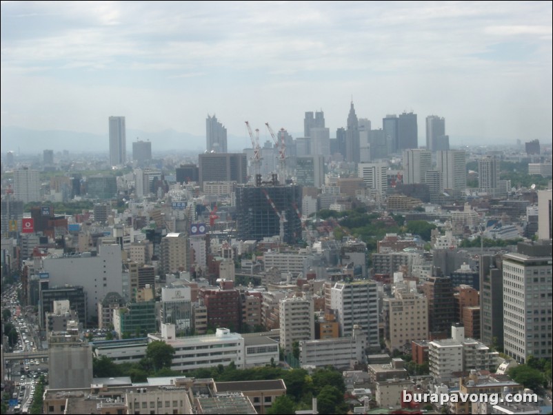 View of Tokyo skyline from Tokyo Tower.