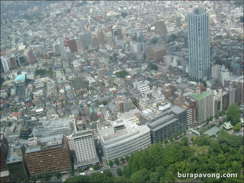 View of Shinjuku from Tokyo Metropolitan Government Building No. 1.