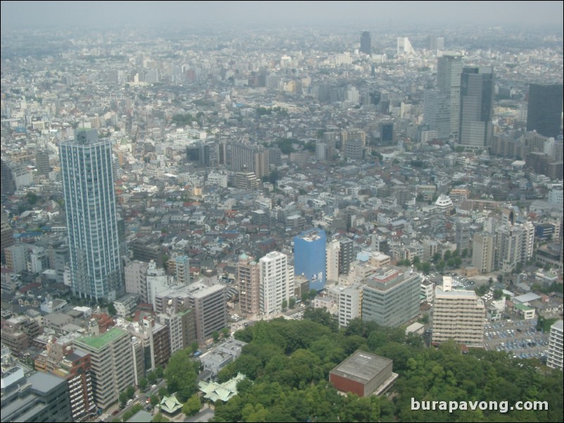 View of Shinjuku from Tokyo Metropolitan Government Building No. 1.