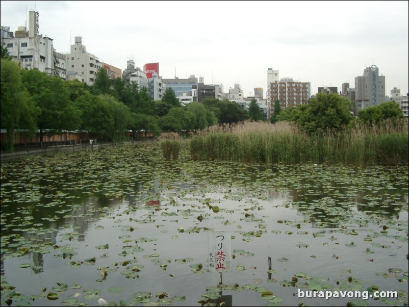 Ueno-koen (Ueno Park).