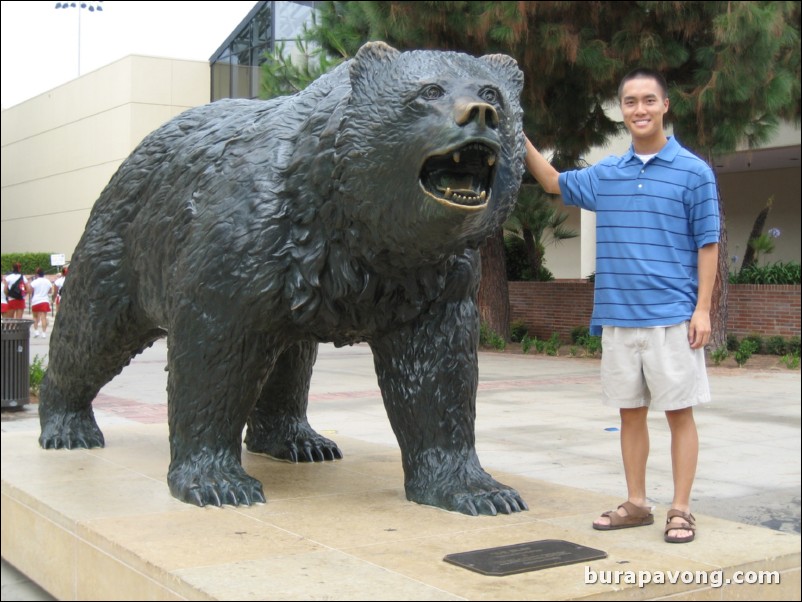 The UCLA Bruin statue.