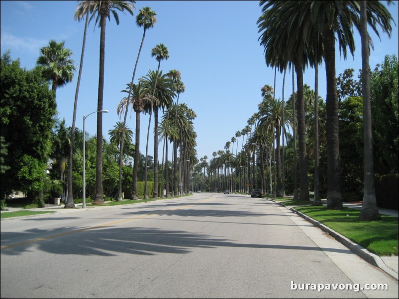 A random beautiful street in Beverly Hills.