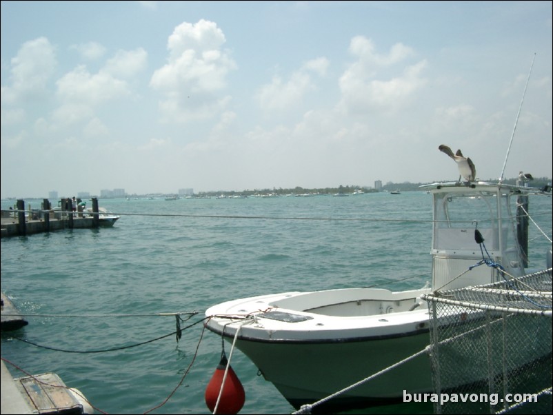 Downtown Miami, Virginia Key, and Key Biscayne.