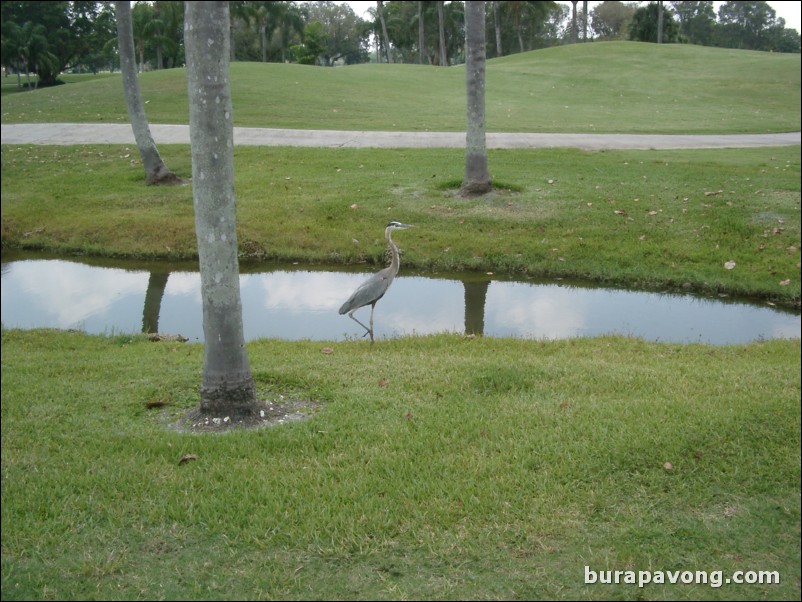 Doral Golf Resort & Spa - Blue Monster Course.