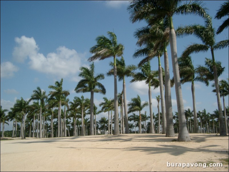 Doral Golf Resort & Spa - Great White Course.