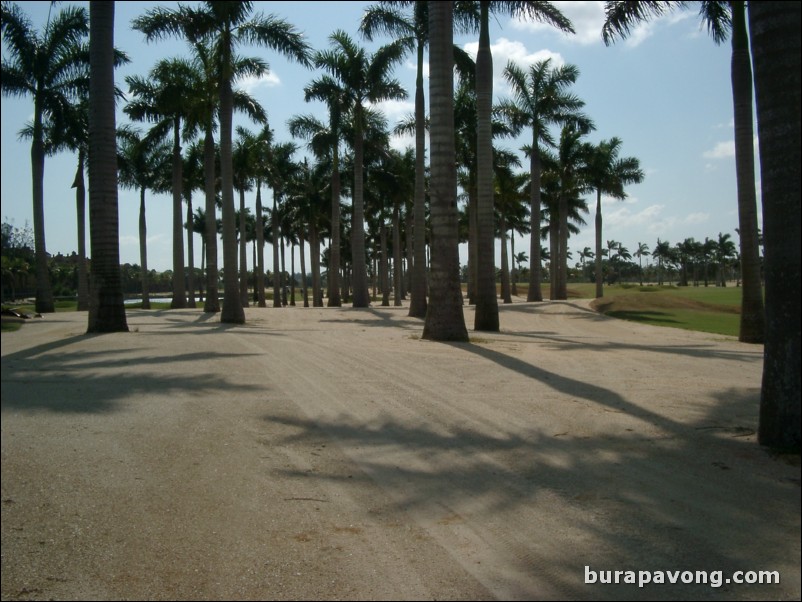 Doral Golf Resort & Spa - Great White Course.