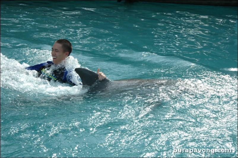 Swimming with dolphins at Miami Seaquarium.