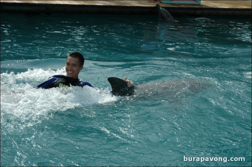 Swimming with dolphins at Miami Seaquarium.