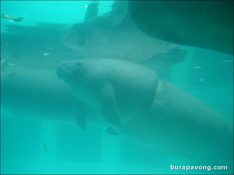 Miami Seaquarium.