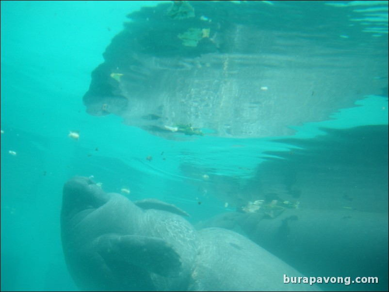 Miami Seaquarium.