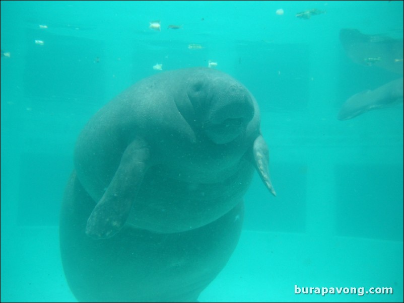 Miami Seaquarium.