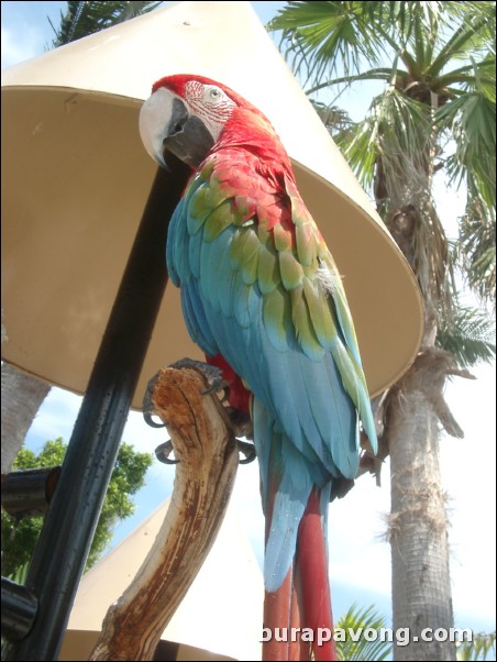 Miami Seaquarium.