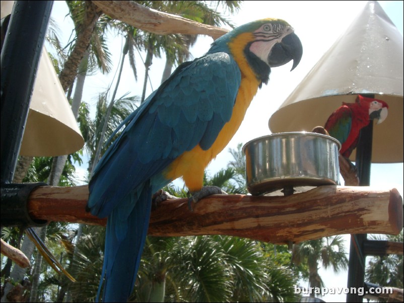 Miami Seaquarium.