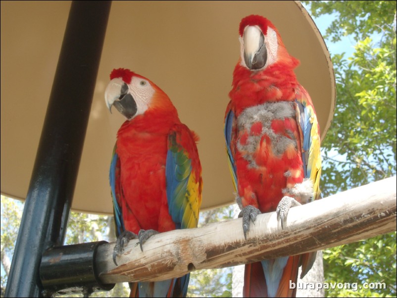 Miami Seaquarium.