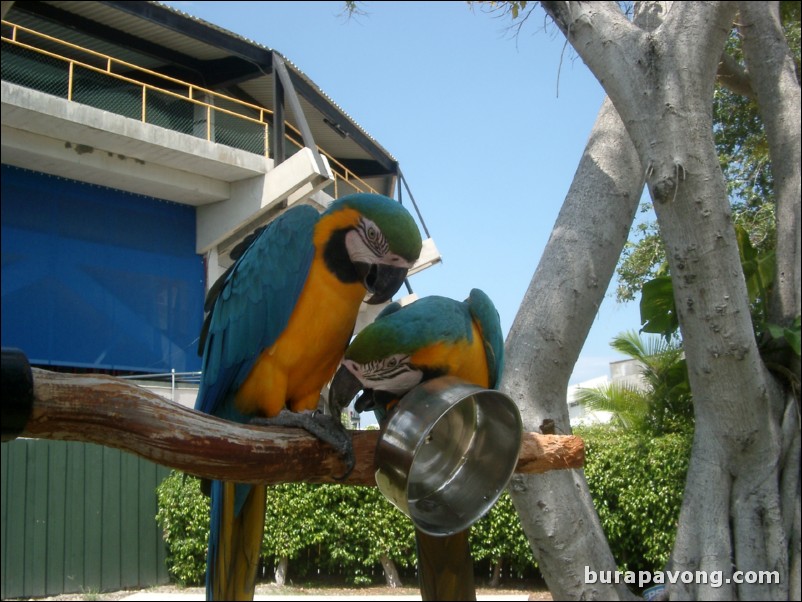 Miami Seaquarium.