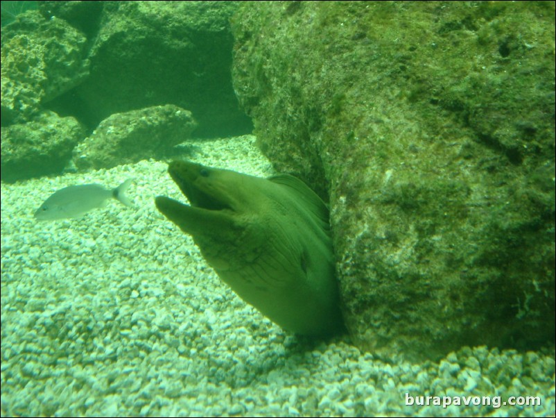 Miami Seaquarium.