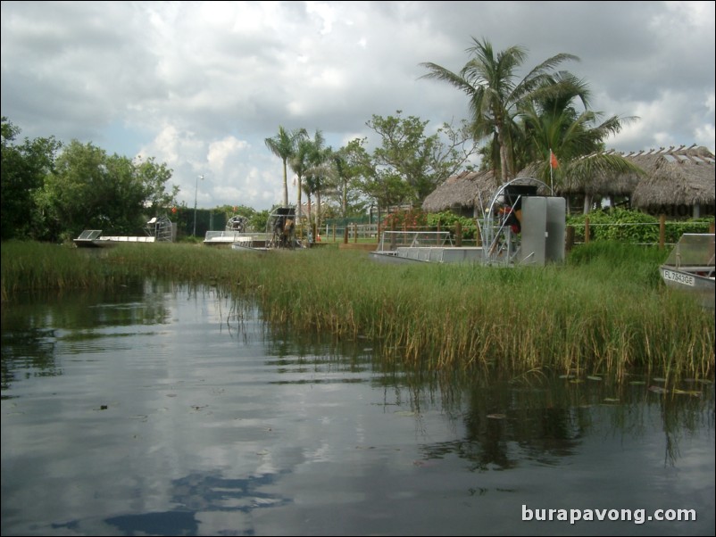 Airboat tour of the Florida Everglades.