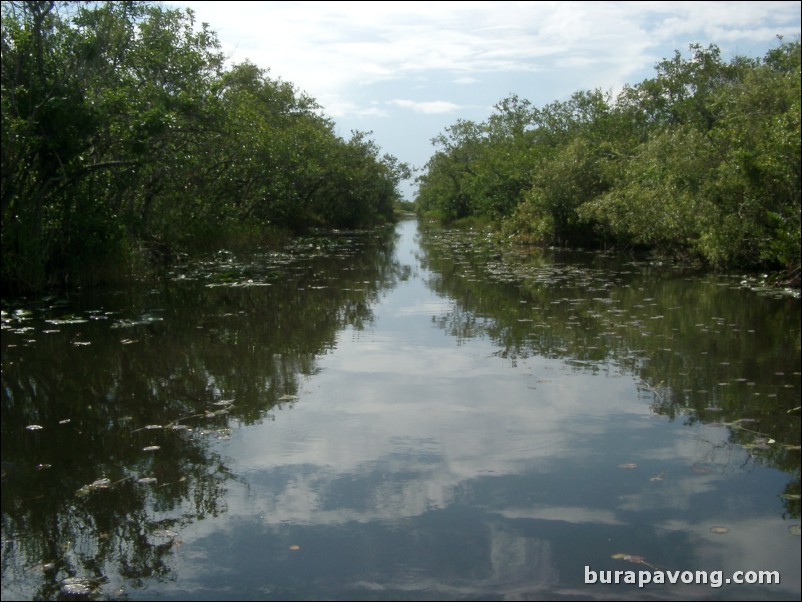 Airboat tour of the Florida Everglades.