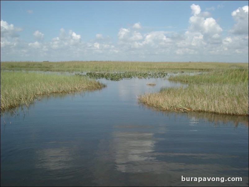 Airboat tour of the Florida Everglades.